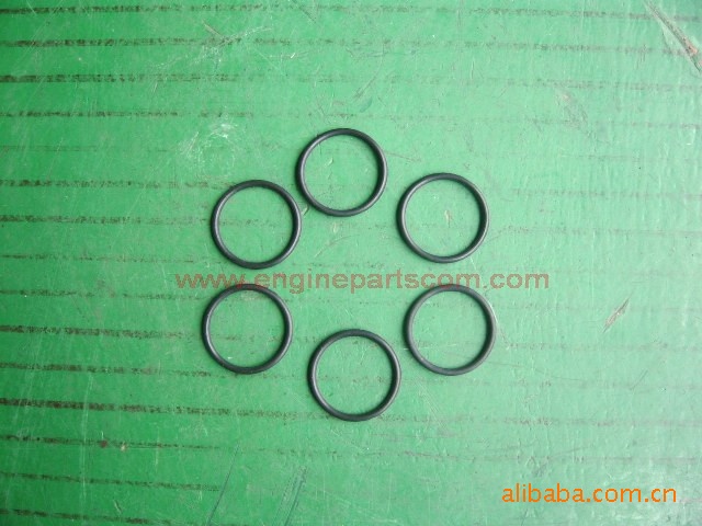 CCEC康明斯柴油發動機密封圈145505 
