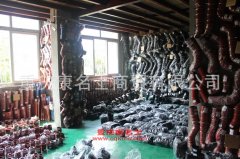 福迪NHQ1021LA多用途貨車用的綿陽新晨JM491Q-ME發動機的大修及配件